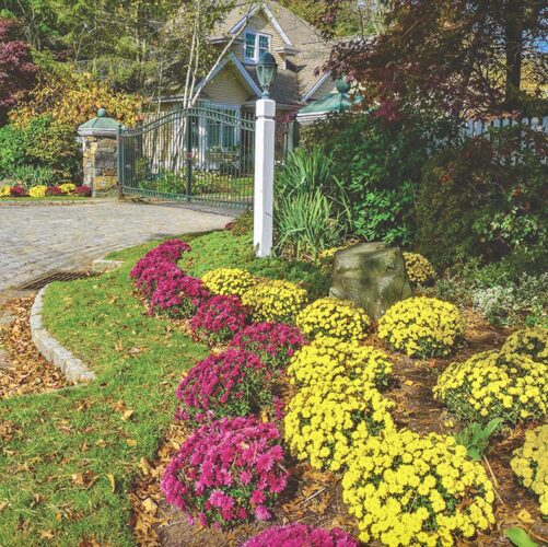 A beginner’s guide to fall planting and maintenance